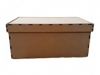 CAJAS RECTANGULAR CON TAPA (30x50x22)