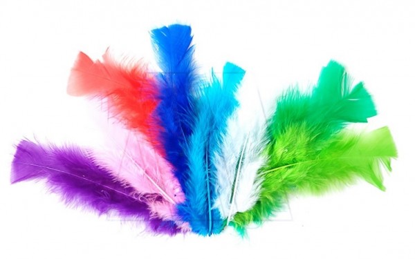 PLUMAS SURTIDAS 10cm 4g 50unidades APROX