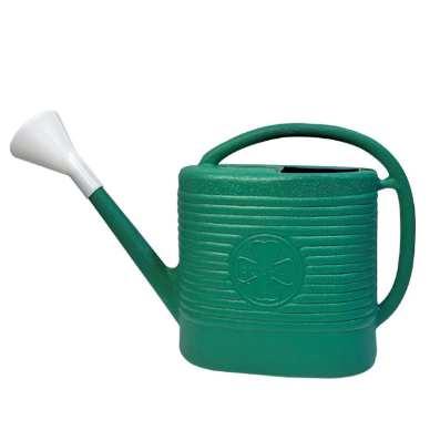 [0380000054] REGADERA 8LT CON FLOR